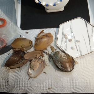 BEAUTIFUL  😍 REAL 5 PEAR'S